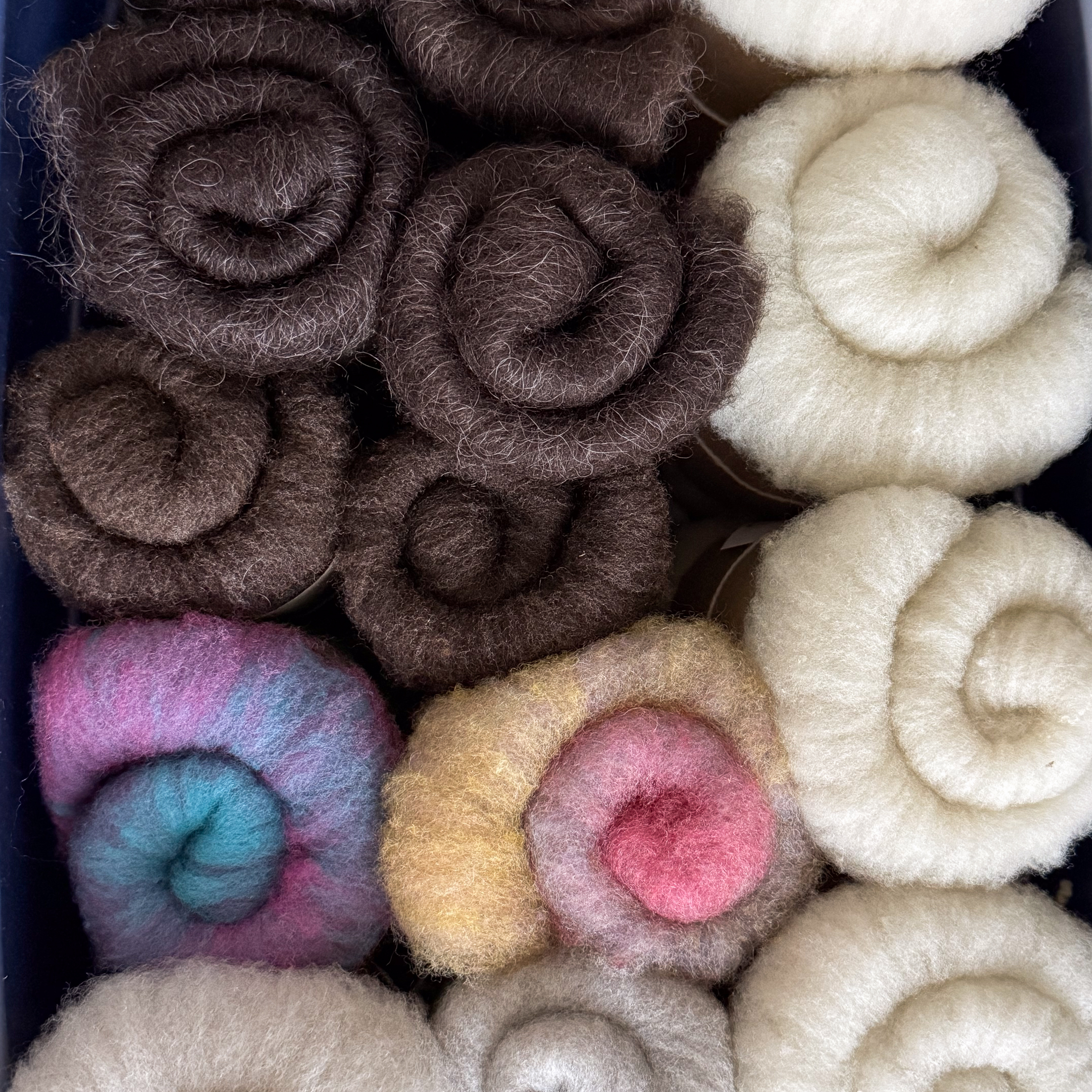 Photo of rolled up carded batts of ready to spin wool